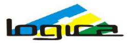 Eastern Logica Infoway Limited Logo