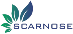 Scarnose International Limited Logo