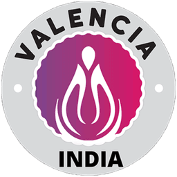 Valencia India Limited Logo