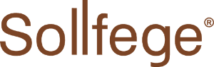 Sollfege Smart Electronics Limited IPO Logo – BSE SME IPO