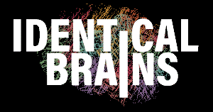Identical Brains Studios Limited Logo