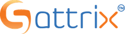 Sattrix Information Security Limited Logo