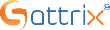 Sattrix Information Security Limited Logo