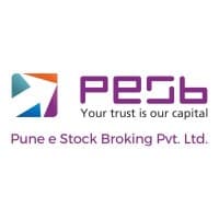 Pune E-Stock Broking Limited Logo