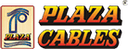 Plaza Wires Limited Listed IPO Logo