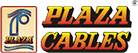 Plaza Wires Limited Logo