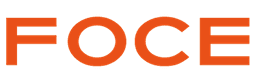 Foce India Limited Logo