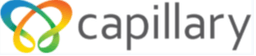 Capillary Technologies India Limited Logo