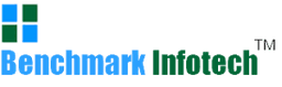 Bench Mark Infotech Services Limited Logo