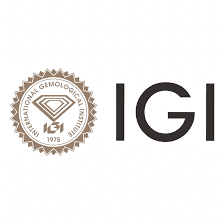 International Gemmological Institute (India) Limited Logo