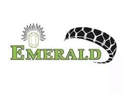 Emerald Tyre Manufacturers Limited Logo Emerald Tyre Manufacturers Limited Logo