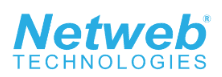 Netweb Technologies India Limited Logo Netweb Technologies India Limited Logo