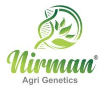 Nirman Agri Genetics Limited Logo Nirman Agri Genetics Limited Logo