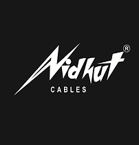 Bhadora Industries Limited Logo Bhadora Industries Limited Logo