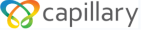 Capillary Technologies India Limited Logo Capillary Technologies India Limited Logo